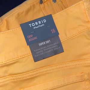 Torrid Super Soft Crop Jeggings